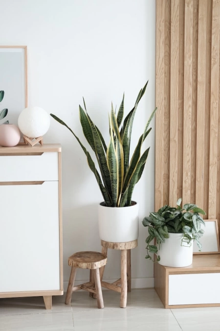 Maceta blanca en base de madera